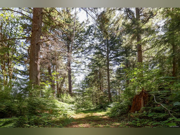 Lot 2 Little River Road, Comox, BC, V9M 4C5 - 16