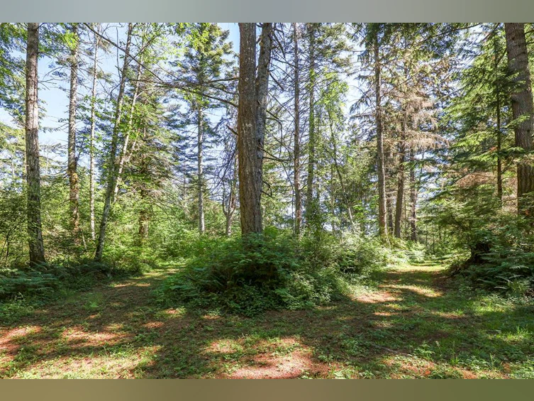 Lot 2 Little River Road, Comox, BC, V9M 4C5 - 17