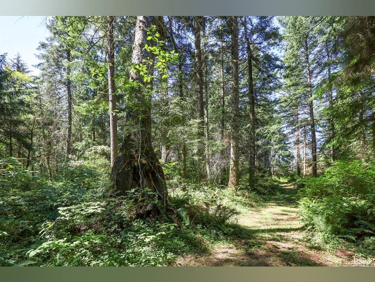 Lot 2 Little River Road, Comox, BC, V9M 4C5 - 18