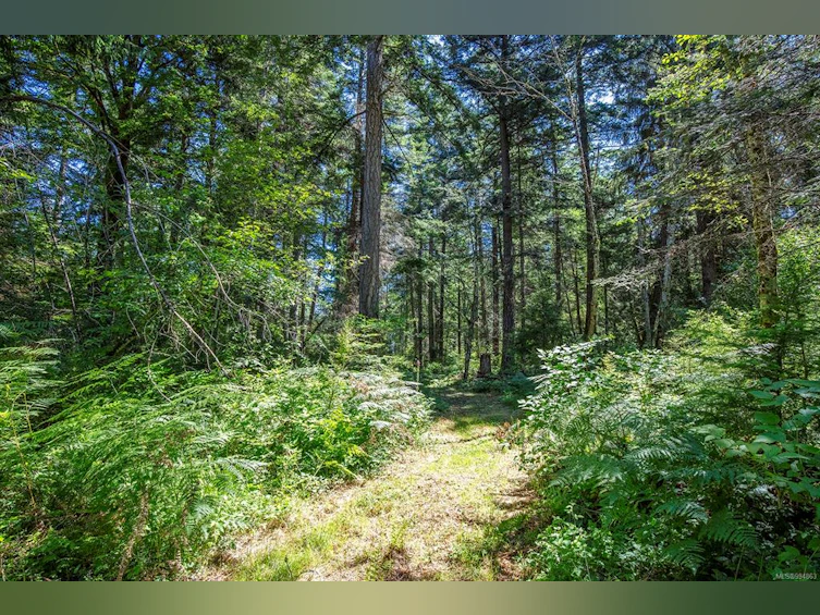 Lot 2 Little River Road, Comox, BC, V9M 4C5 - 19