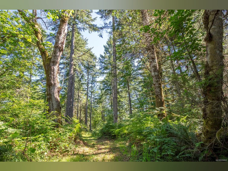 Lot 2 Little River Road, Comox, BC, V9M 4C5 - 20