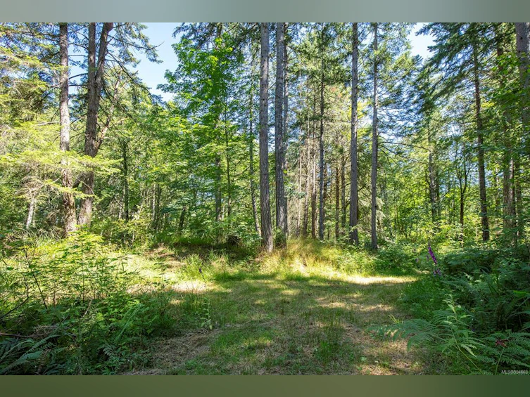 Lot 2 Little River Road, Comox, BC, V9M 4C5 - 21