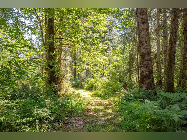 Lot 2 Little River Road, Comox, BC, V9M 4C5 - 22