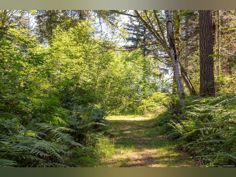 Lot 2 Little River Road, Comox, BC, V9M 4C5 - 23