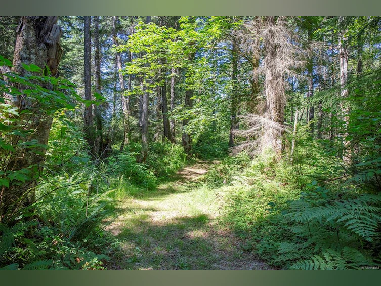 Lot 2 Little River Road, Comox, BC, V9M 4C5 - 24