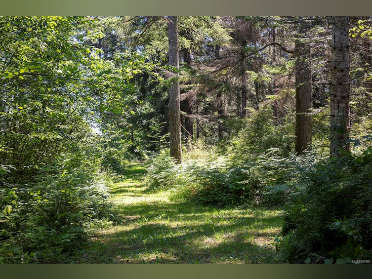 Lot 2 Little River Road, Comox, BC, V9M 4C5 - 25