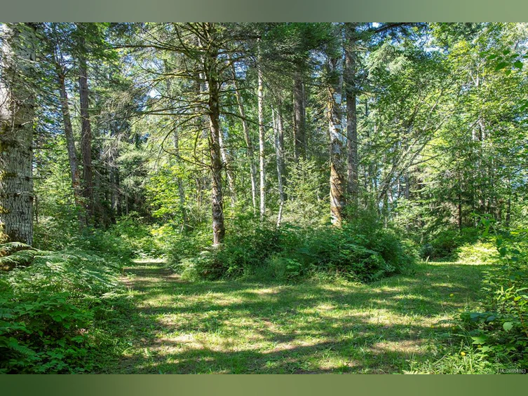 Lot 2 Little River Road, Comox, BC, V9M 4C5 - 26