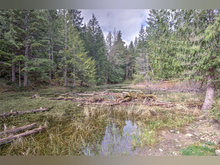 7420 Nantree Road, Lake Cowichan, BC, V0R 3E1 - 60