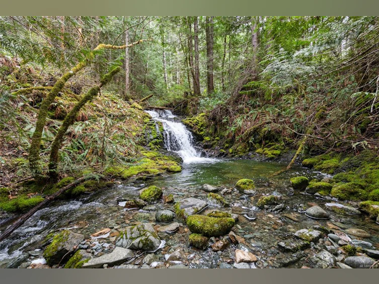 2770 Marshland Road, Qualicum Beach, BC, V9K 2L7 - 60