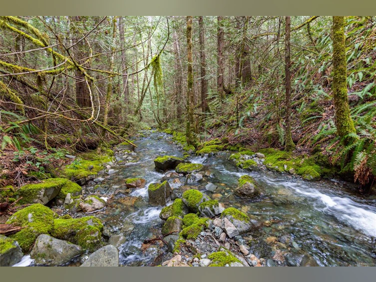 2770 Marshland Road, Qualicum Beach, BC, V9K 2L7 - 63
