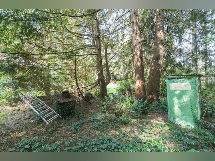 123 Baynes Drive, Fanny Bay, BC, V0R 1W0 - 18