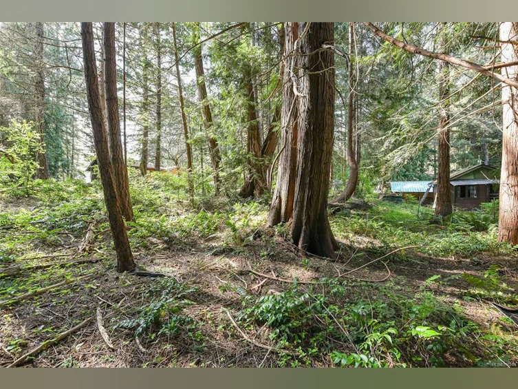 123 Baynes Drive, Fanny Bay, BC, V0R 1W0 - 21