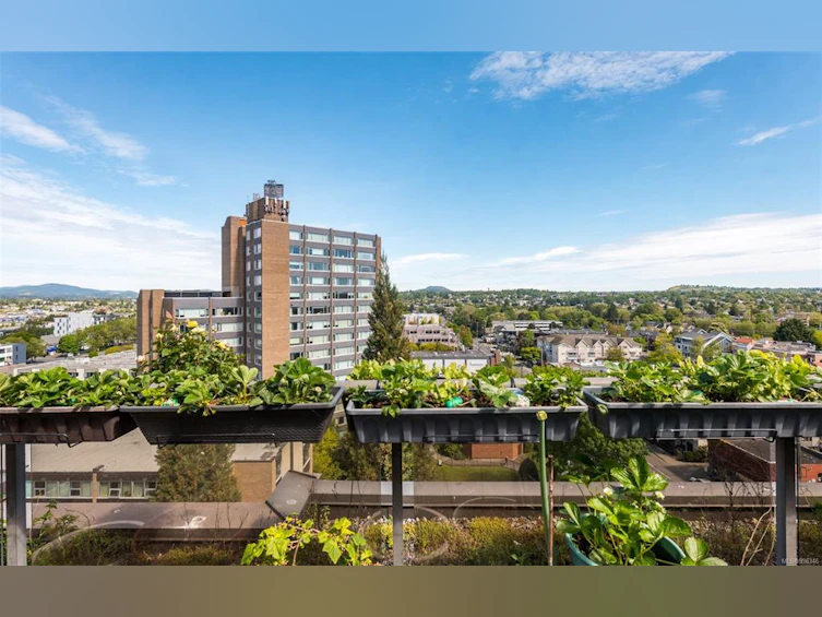 404-1630 Quadra Street, Victoria, BC, V8W 3J5 - 21