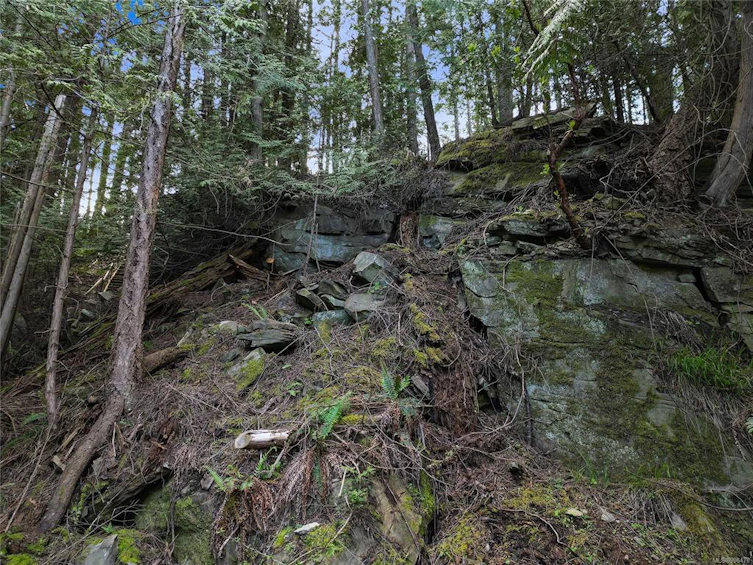 497 Abbott Road, Mayne Island, BC, V0N 2J1 - 6
