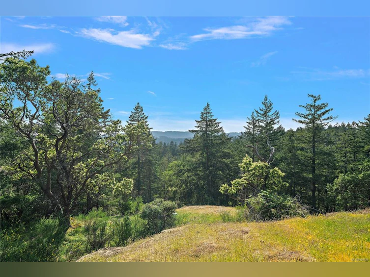 782 Walfred Road, Langford, BC, V9C 2N9 - 7
