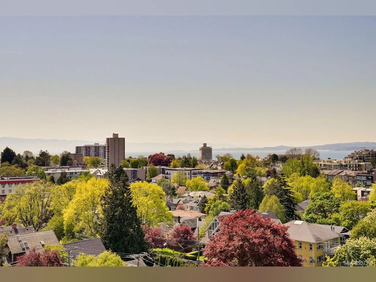 103-646 Michigan Street, Victoria, BC, V8V 0B7 - 51