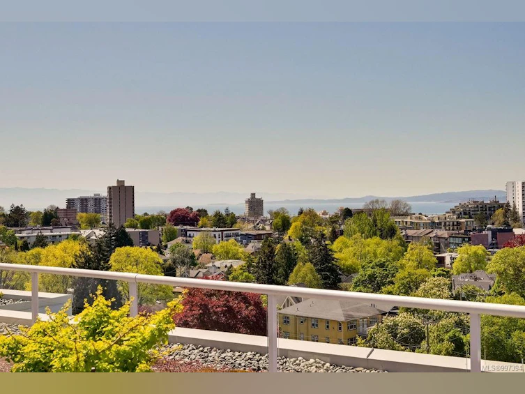 103-646 Michigan Street, Victoria, BC, V8V 0B7 - 49