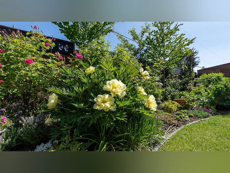 1000 Brookfield Crescent, French Creek, BC, V9P 0E3 - 45