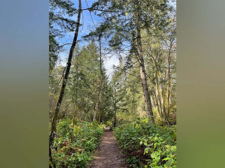 Lot 13 Ruxton Island, Ruxton Island, BC - 2