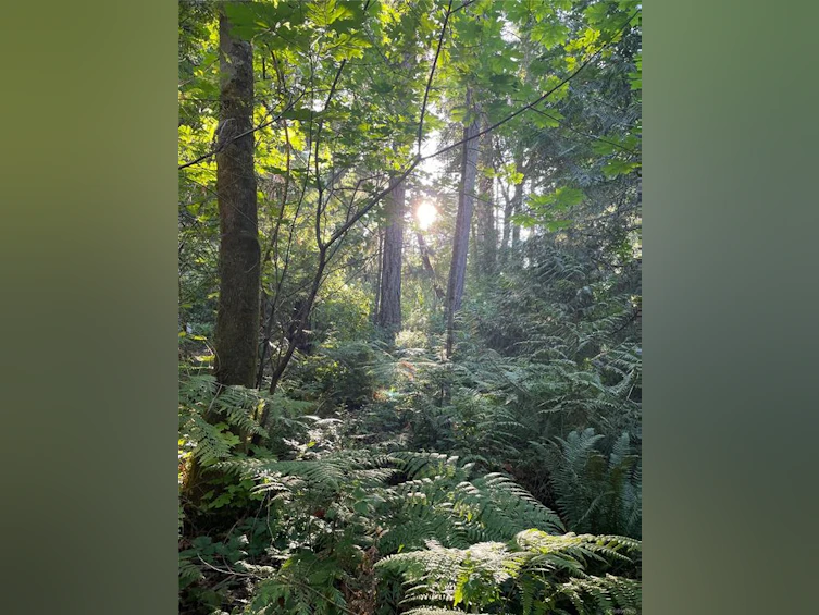 Lot 13 Ruxton Island, Ruxton Island, BC - 18