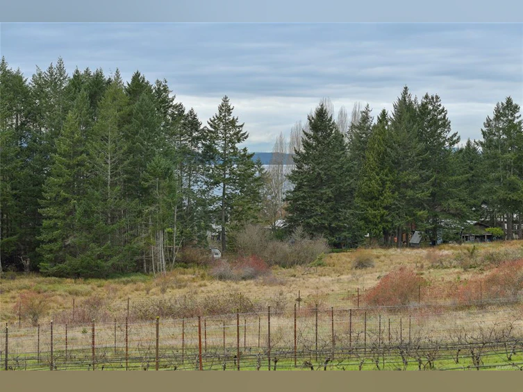 300 Wood Dale Drive, Mayne Island, BC, V0N 2J2 - 80