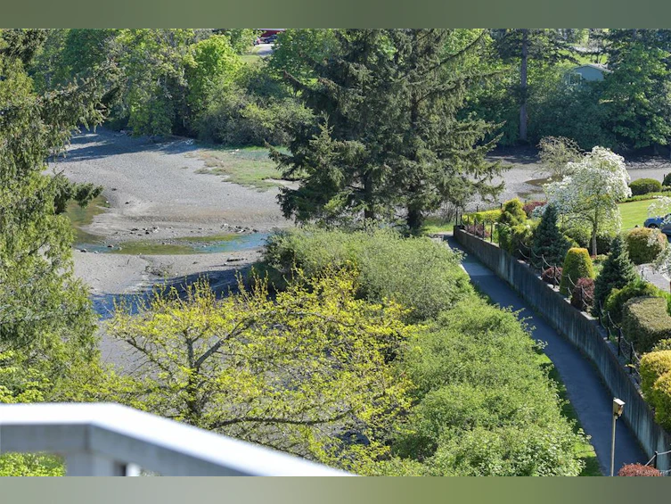 4201-2600 Ferguson Road, Central Saanich, BC, V8M 2C1 - 33
