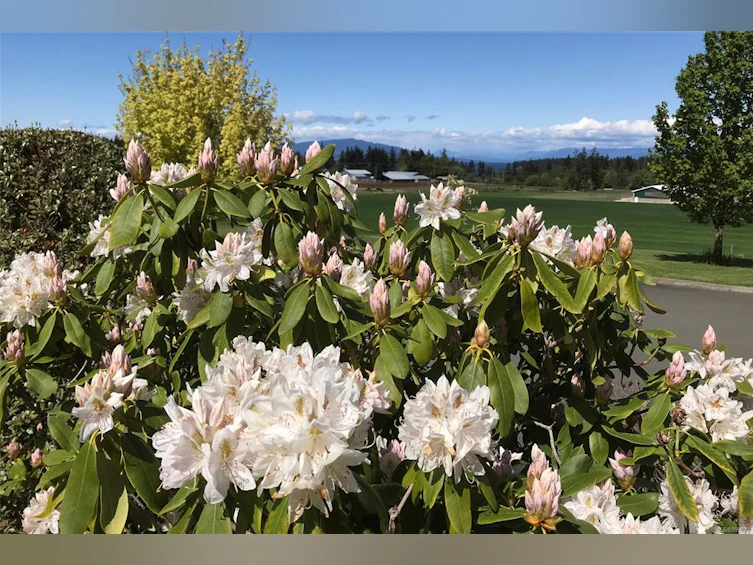 1950 Northwest Bay Road, Nanoose, BC, V9P 9C5 - 47