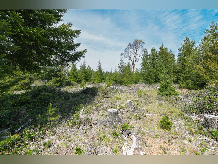 4131 Pinecrest Road, Denman Island, BC, V0R 1T0 - 64