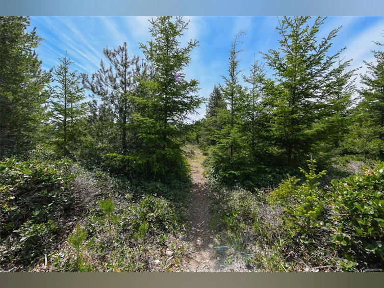 4131 Pinecrest Road, Denman Island, BC, V0R 1T0 - 68