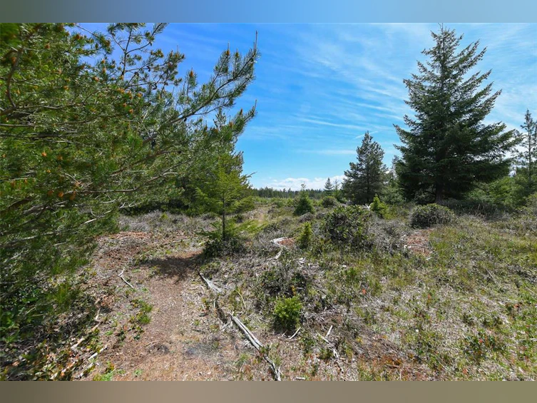 4131 Pinecrest Road, Denman Island, BC, V0R 1T0 - 67