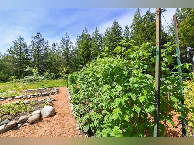 4131 Pinecrest Road, Denman Island, BC, V0R 1T0 - 53