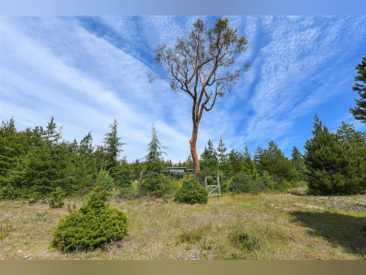 4131 Pinecrest Road, Denman Island, BC, V0R 1T0 - 59