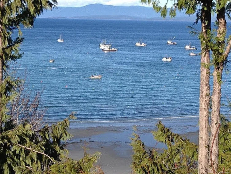 509 Mill Road, Qualicum Beach, BC, V9K 1K6 - 92