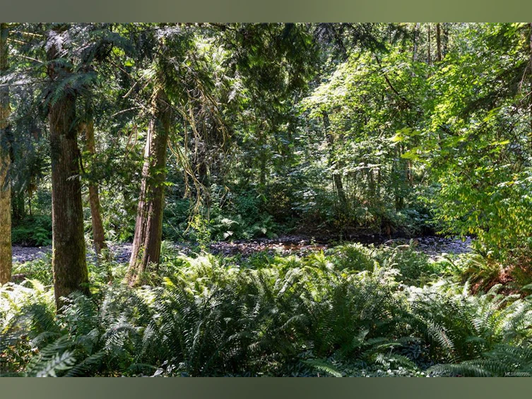 1059 Old Victoria Road, Nanaimo, BC, V9R 6R4 - 56