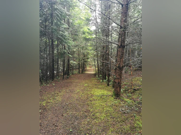 706 Fernhill Road, Mayne Island, BC, V0N 2J1 - 8