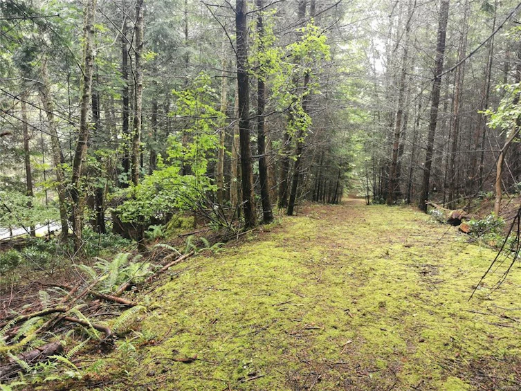 706 Fernhill Road, Mayne Island, BC, V0N 2J1 - 12