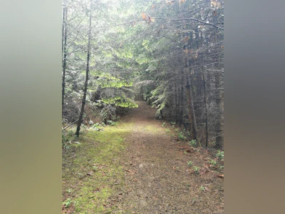 706 Fernhill Road - 5