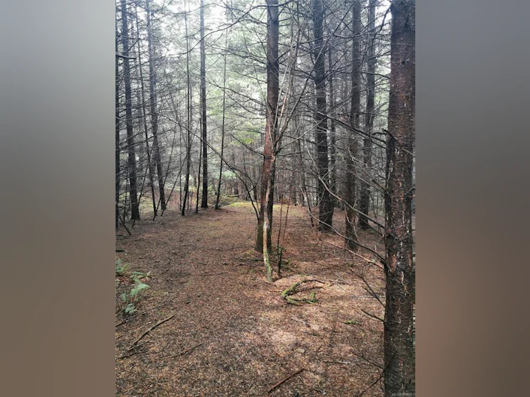 706 Fernhill Road, Mayne Island, BC, V0N 2J1 - 16