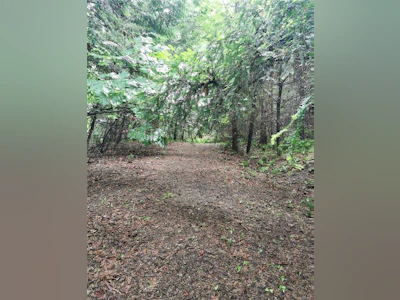706 Fernhill Road - 4