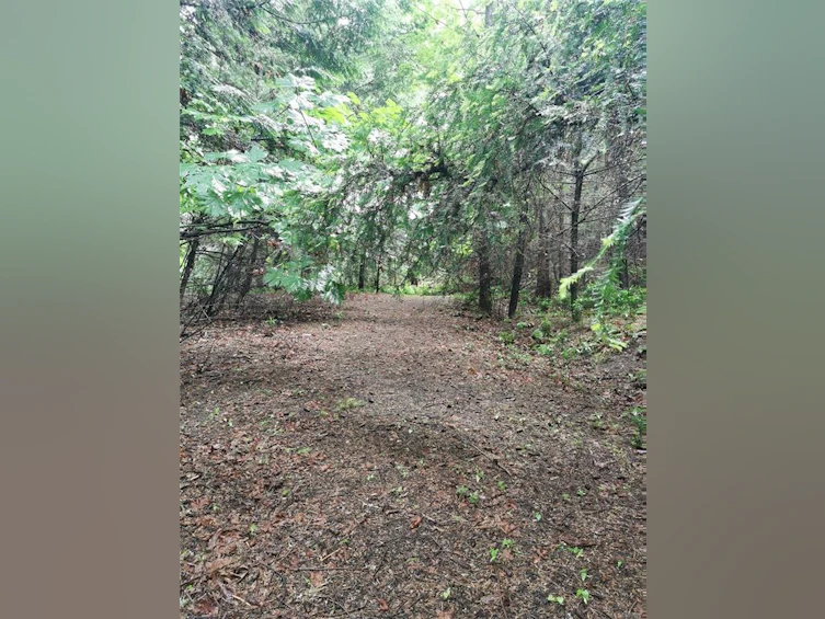 706 Fernhill Road, Mayne Island, BC, V0N 2J1 - 4