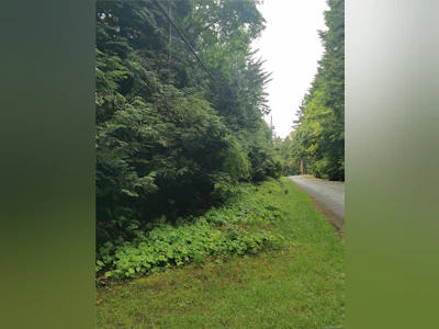 706 Fernhill Road - 2