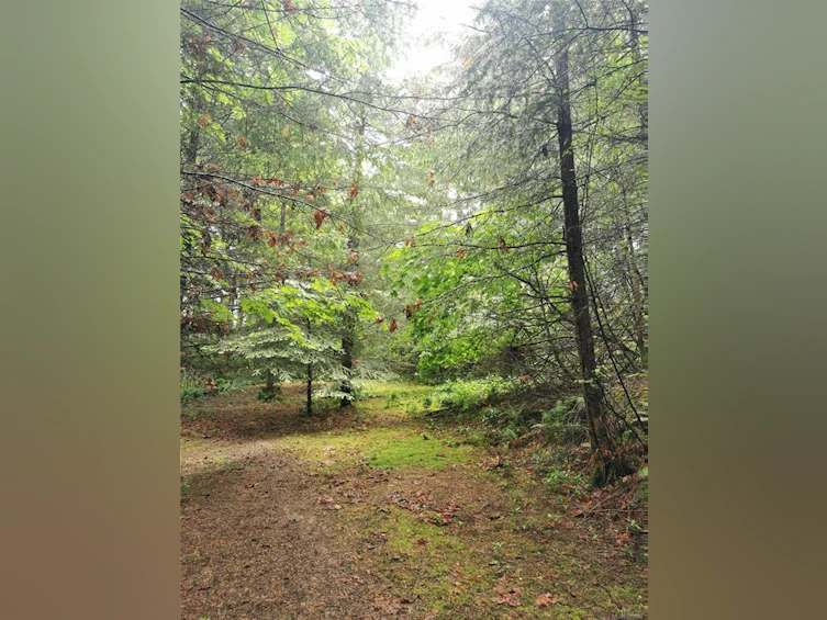 706 Fernhill Road, Mayne Island, BC, V0N 2J1 - 7