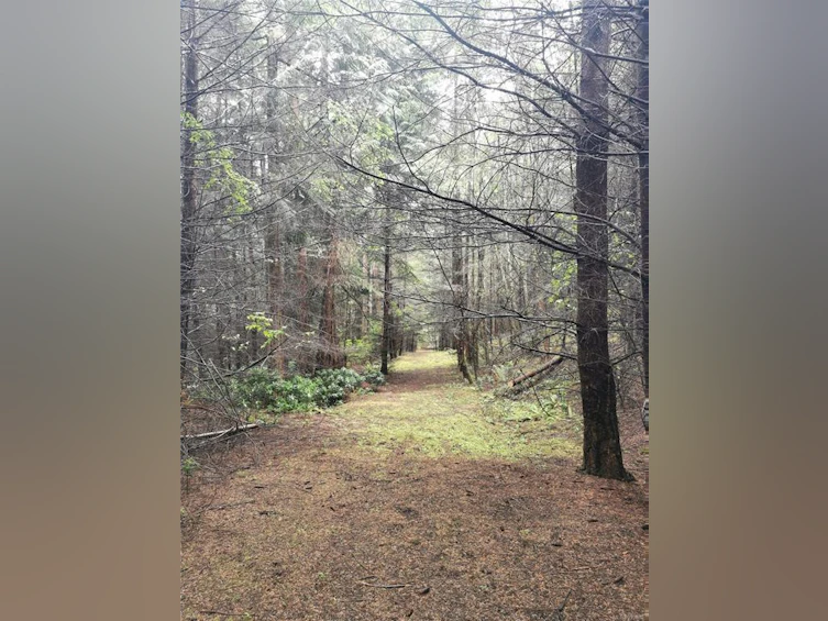 706 Fernhill Road, Mayne Island, BC, V0N 2J1 - 13