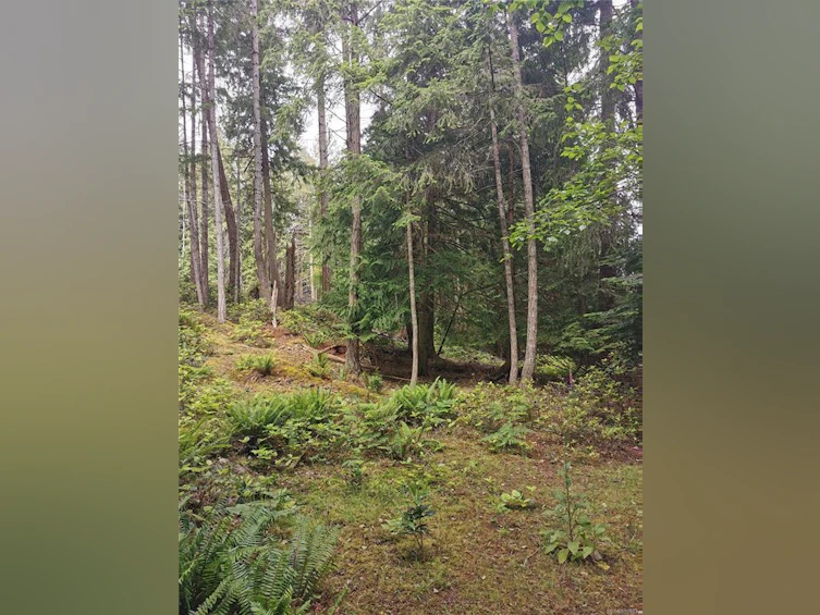 570 Aya Reach Road, Mayne Island, BC, V0N 2J1 - 11