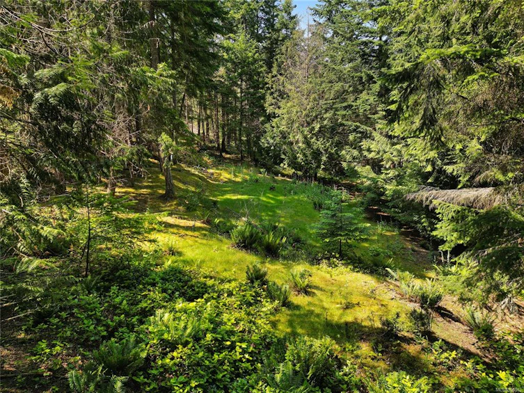570 Aya Reach Road, Mayne Island, BC, V0N 2J1 - 4