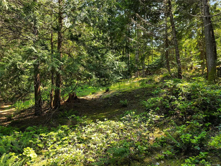570 Aya Reach Road, Mayne Island, BC, V0N 2J1 - 6