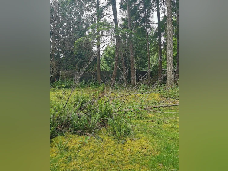 570 Aya Reach Road, Mayne Island, BC, V0N 2J1 - 8