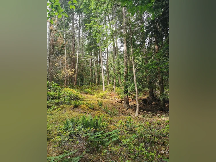 570 Aya Reach Road, Mayne Island, BC, V0N 2J1 - 15