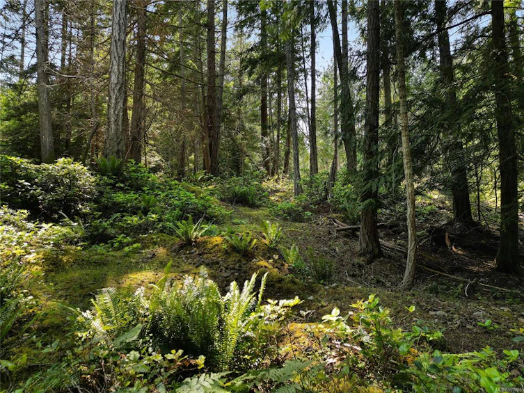 568 Aya Reach Road, Mayne Island, BC, V0N 2J1 - 3