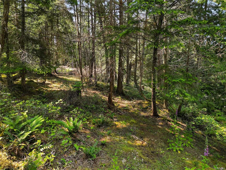 568 Aya Reach Road, Mayne Island, BC, V0N 2J1 - 2